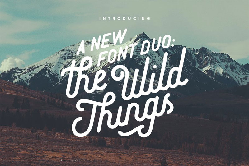 the wild things hipster font