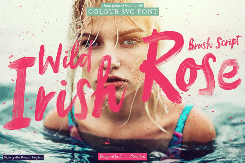 wild irish rose brush script hipster font