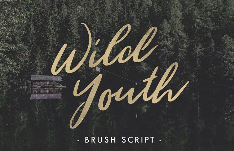 wild youth hipster font