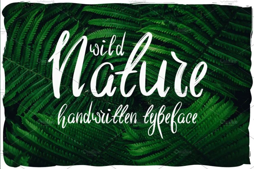 wild nature script typeface garden font