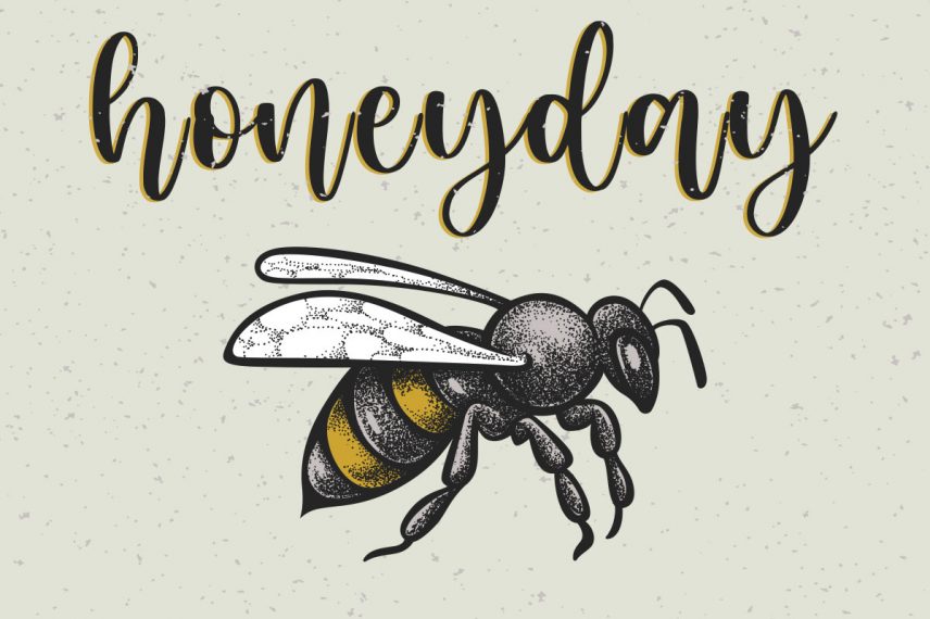 honeyday honey and bee font