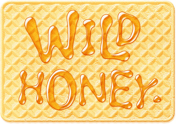 wild honey and bee font