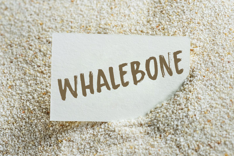 whalebone sand font